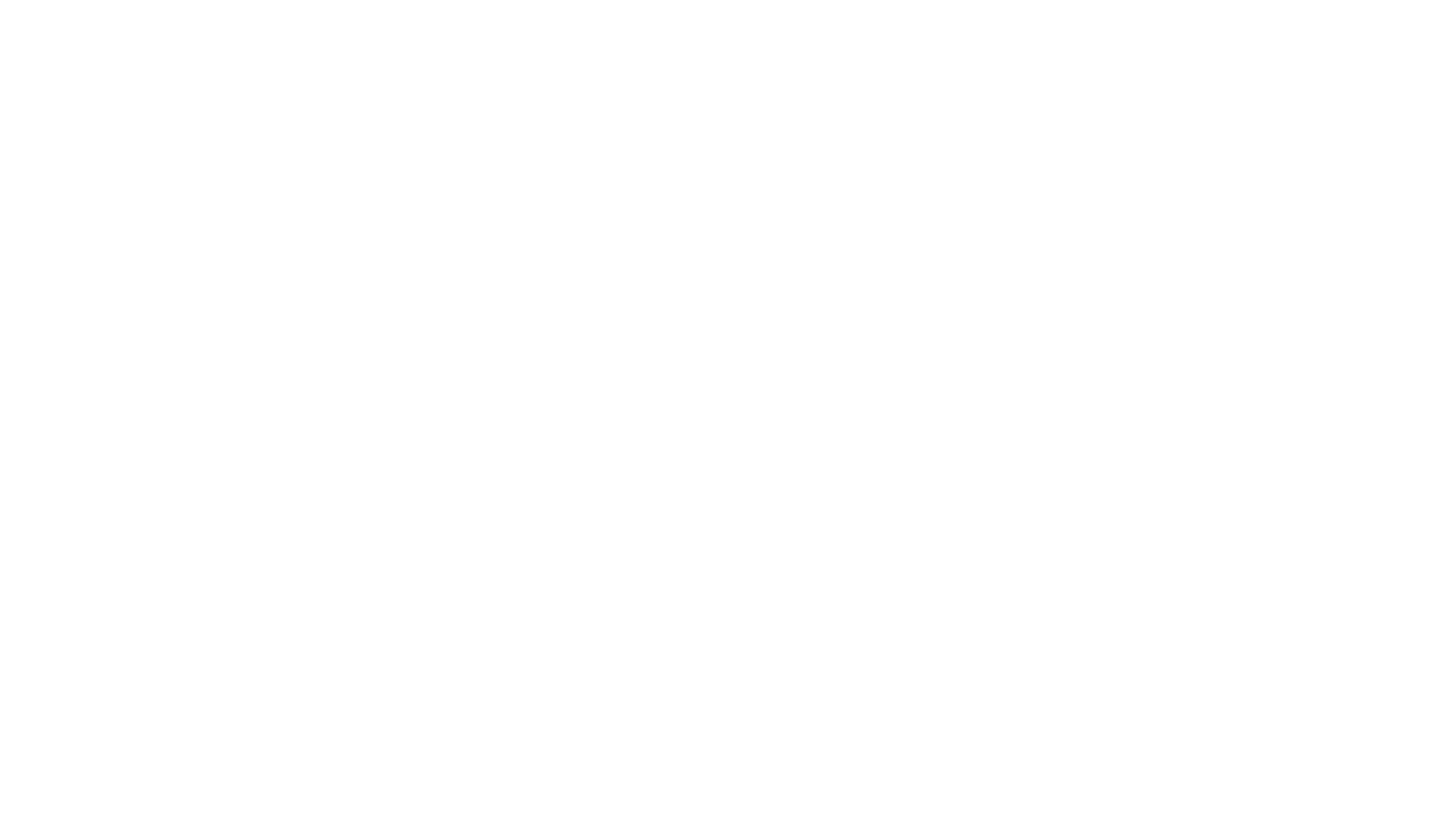 Logo Flying Heron