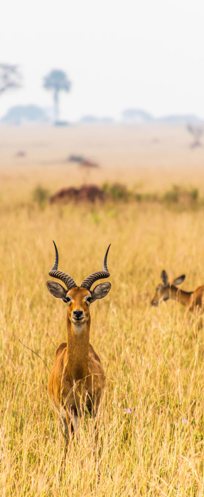 andrew-s-h5vMnGRk7os-unsplash