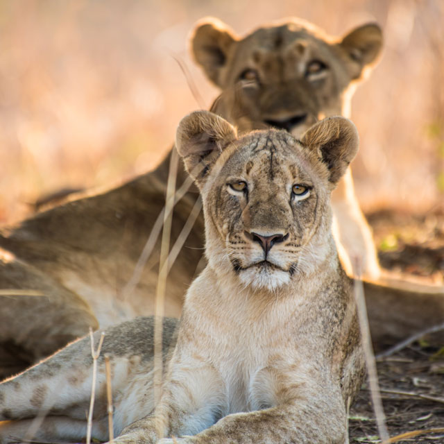 birger-strahl-4WzdySGib64-unsplash-mobile