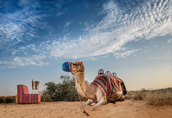 3_HRH_Tour_Dubai_bedouin-dining_Lions_Tigers_Tradewinds_2024_552x378