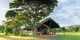 Little Governors camp