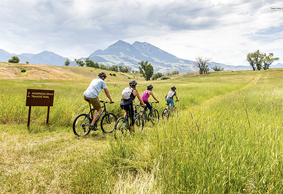 people bicycling through a field