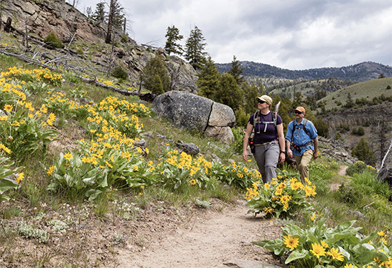 people hiking through Yellowstone