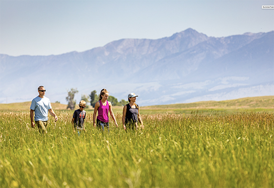people walking through a field