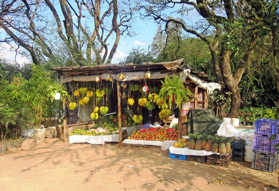 9_HRH_Tour_Manda_Island_Kenya_Lions_Tigers_Tradewinds_2024_552x378-scaled