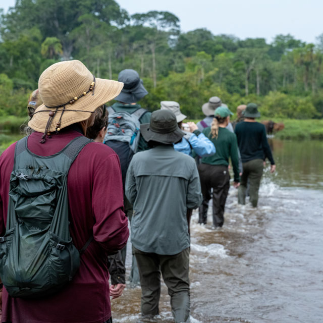 A group walking through the bai.
