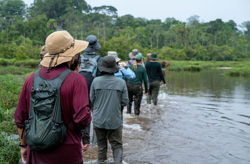Walking through the bai.