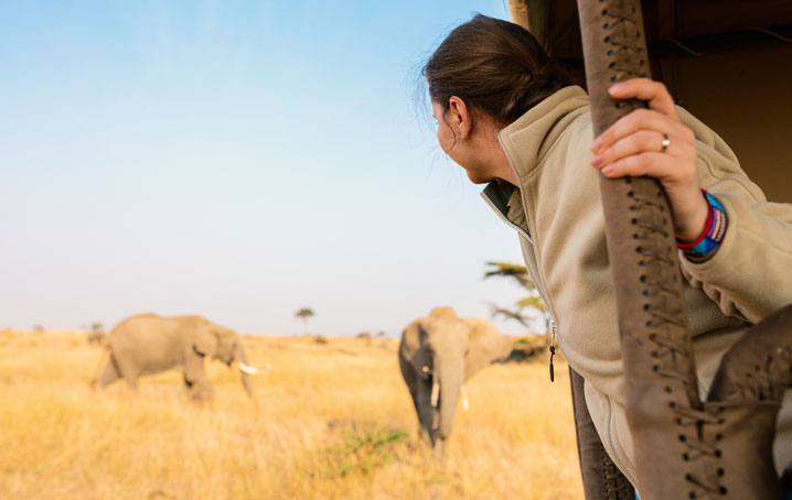 Woman checking out elephants on a game drive.