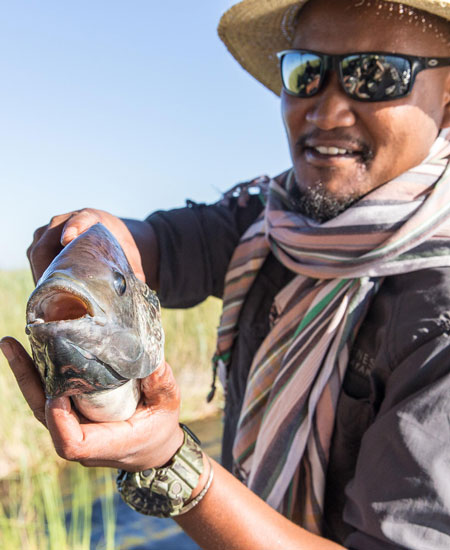 Catch and Release