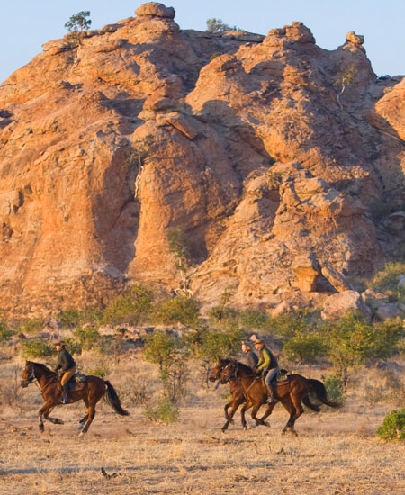 Horseback Riding