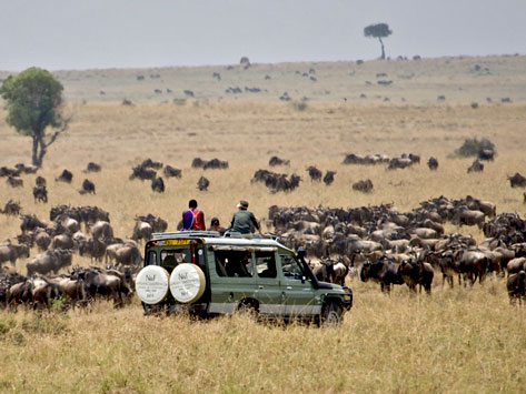A vehicle in the middle of the Great Migration.