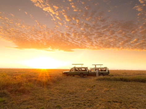 Two vehicles on the Sarengeti.