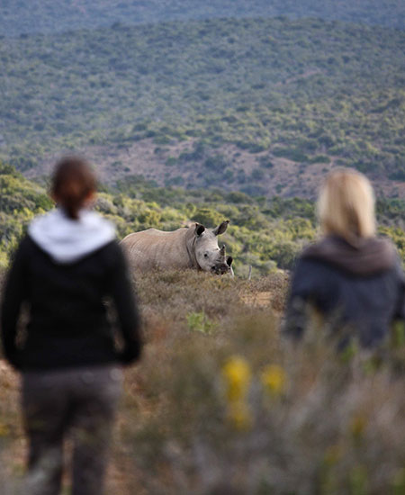Hands-On South Africa