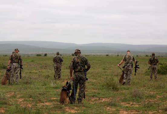 Anti-poaching rangers with trained dogs on patrol in open grassland at Kwandwe Private Game Reserve, South Africa