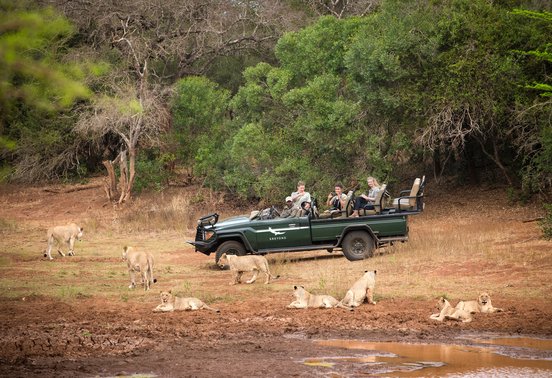 Safari guests in an andBeyond vehicle surrounded by a pride of lions at a waterhole in Phinda Private Game Reserve, South Africa