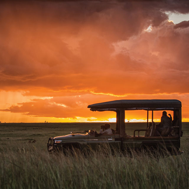 Safari in the sunset in Kenya.