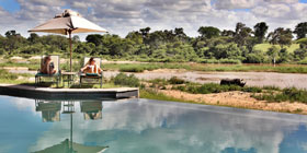 People enjoying the pool at MalaMala.