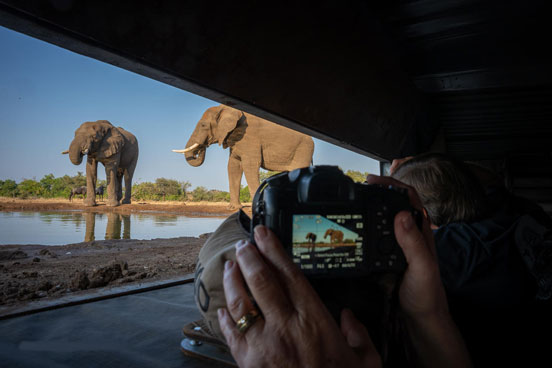 A traveler photographing elephants from a blind.