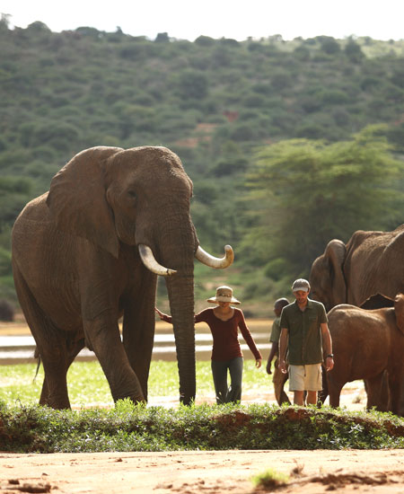 Into the WildLIFE – Kenya