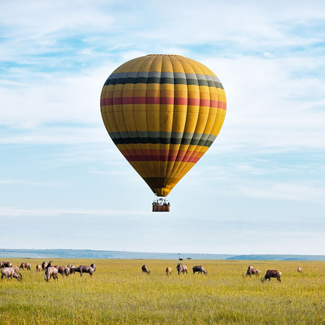 A balloon doing a safari over the Maasai Mara.