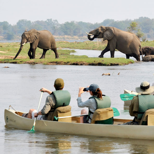 People on safari in kayaks.