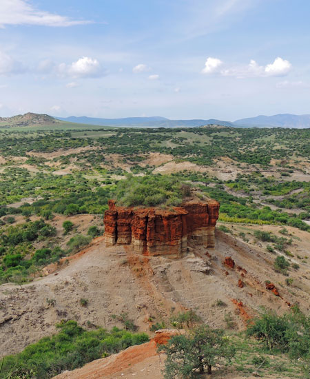 “Cradle of Mankind”