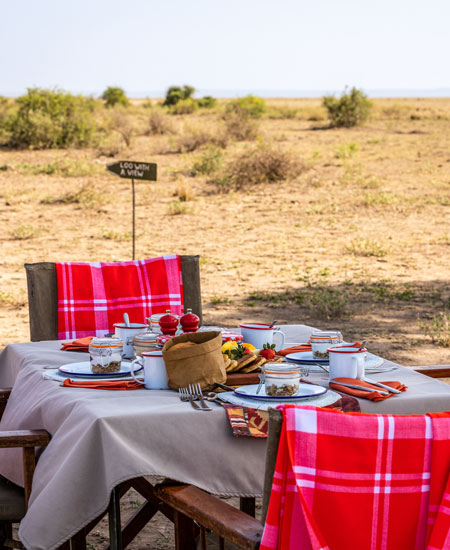 Safari Spread