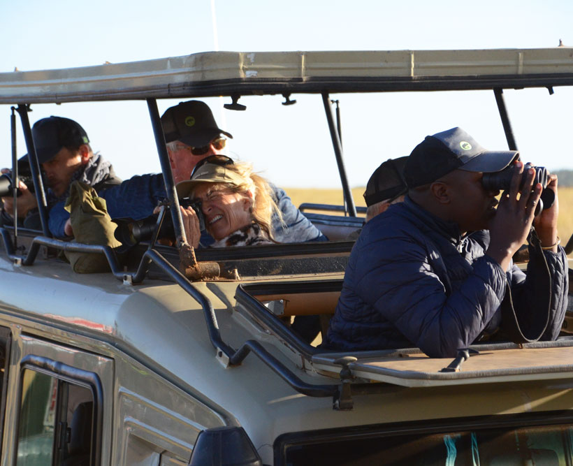 People on safari staring at animals out the top of a vehicle.