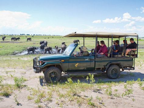 A vehicle on safari in Chobe National Park.