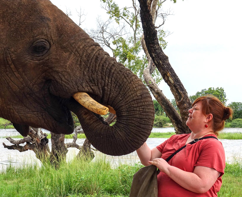 Kasey, Bushtracks staff member, with an elephant.