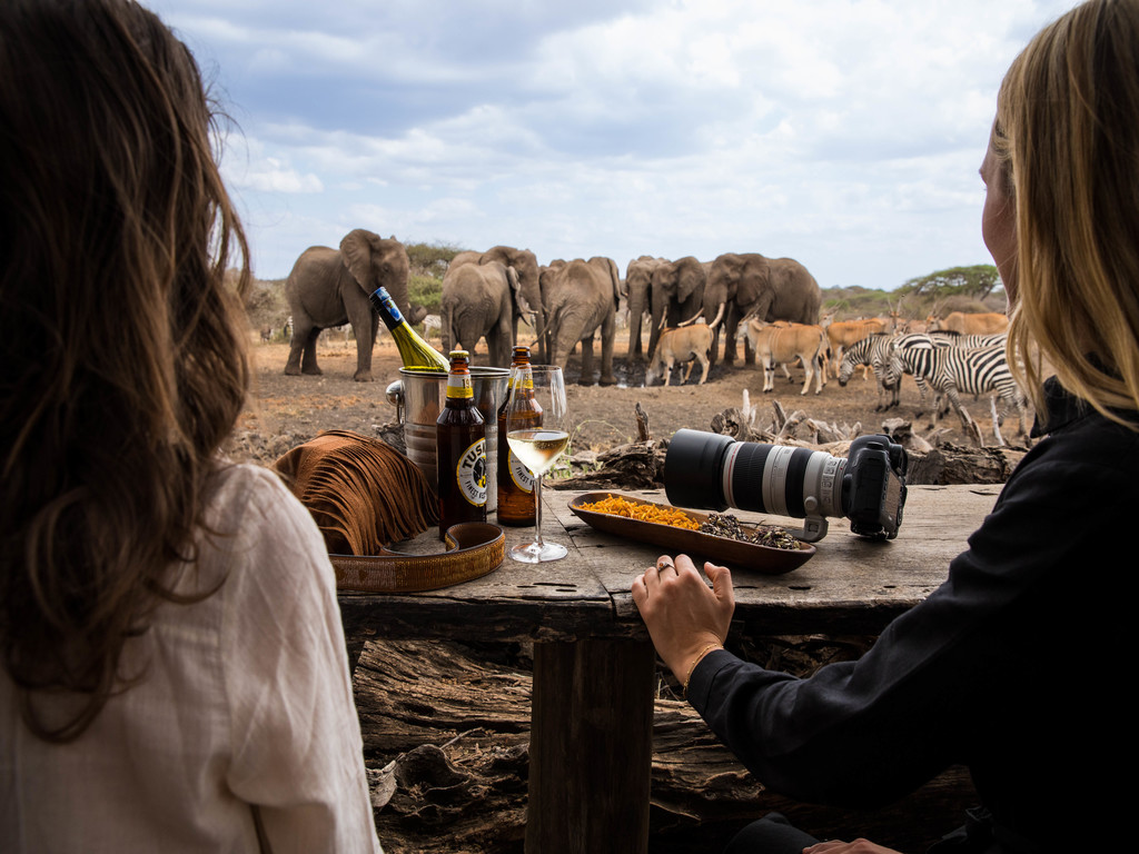 Two women looking at elephants from a blind.