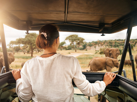 A lady on safari.