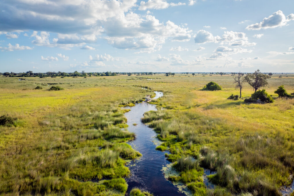 Botswana landscape in the Green Season.
