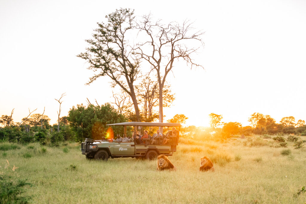 Botswana in the Green Season