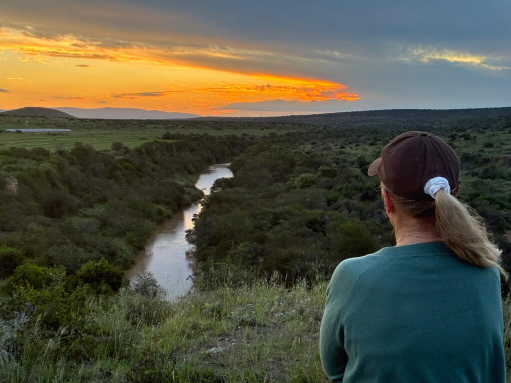 A guest in South Africa