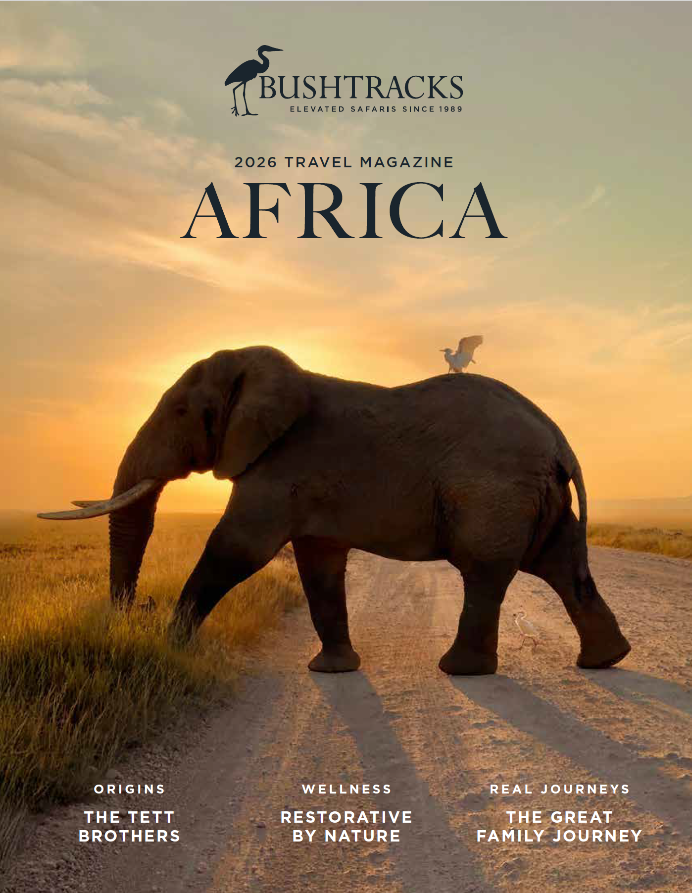 Bushtracks Africa 2026 Travel Magazine