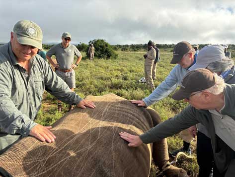 Guests assisting with rhino conservation