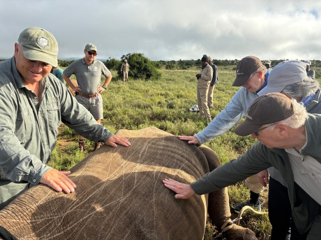 Guests assisting conservation work on Timbavati private reserve.