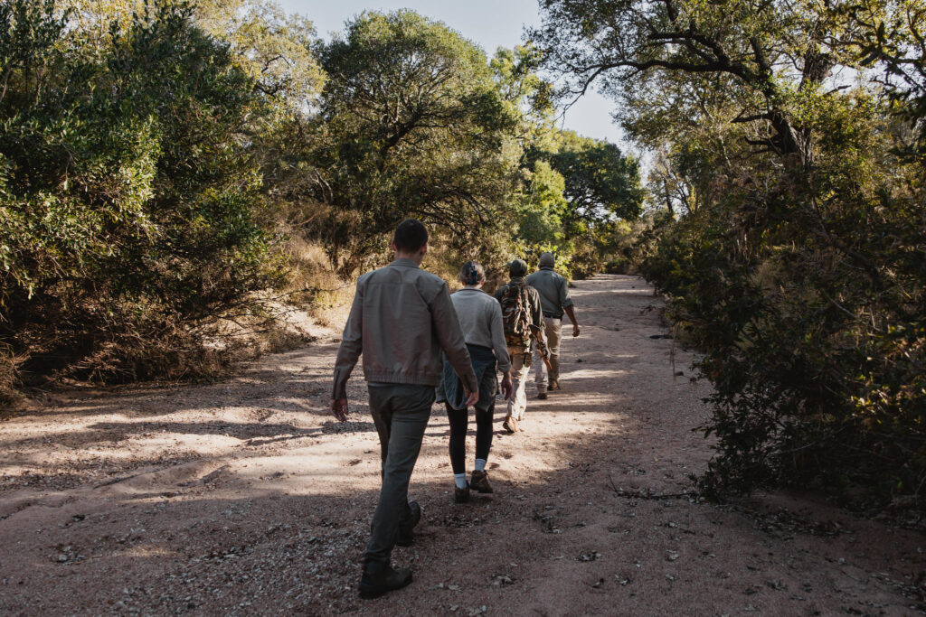 Guests on a walking safari at Tanda Tula