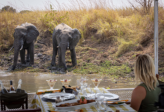 Guest enjoying lunch on a river safari as elephants approach the water’s edge in Kafue National Park, Zambia.