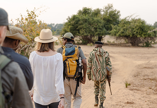 Guests on a guided walking safari with an armed scout and guide through the bush in Lower Zambezi National Park, Zambia.