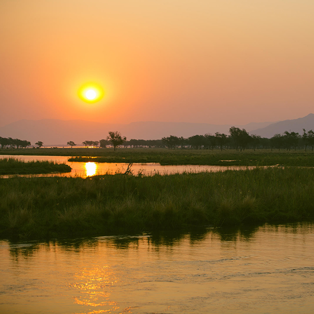 Golden sunset reflecting across the Zambezi River with distant hills in Lower Zambezi National Park, Zambia.