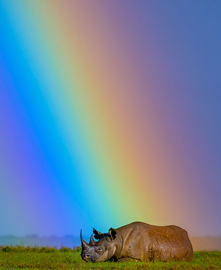 Wild Hope with Ami Vitale