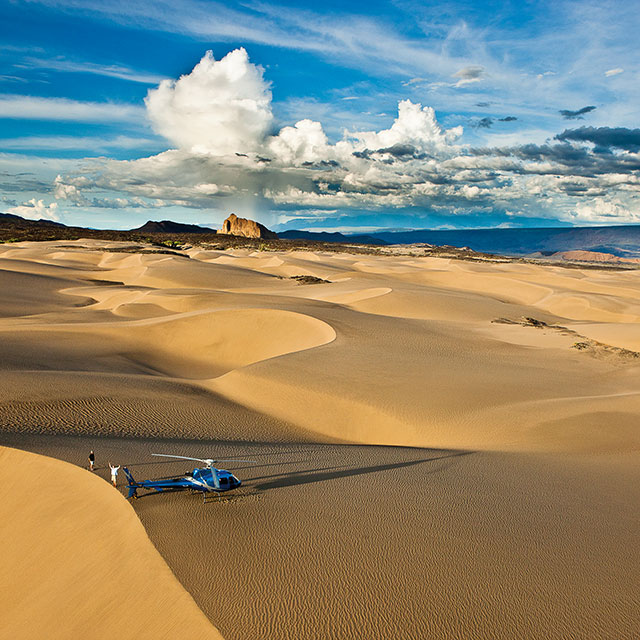 1003ACE__W5F9593_640x640