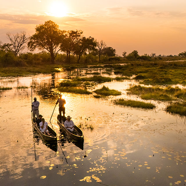 Guests traveling by mokoro canoe through shallow water at sunset in the Okavango Delta