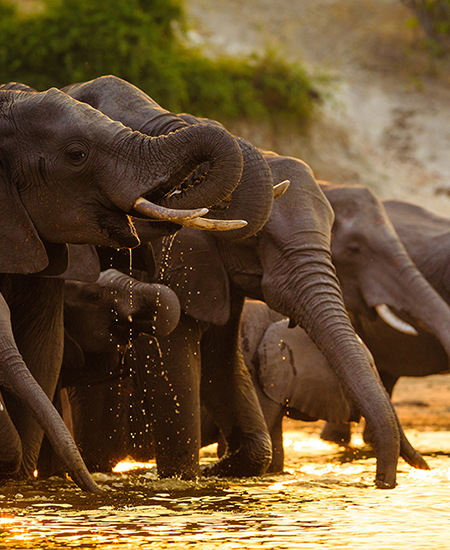 Victoria Falls & Hwange National Park, Zimbabwe
