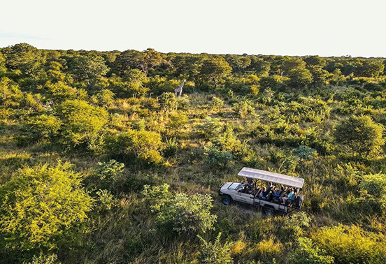 Safari vehicle on game drive through Hwange National Park, Zimbabwe