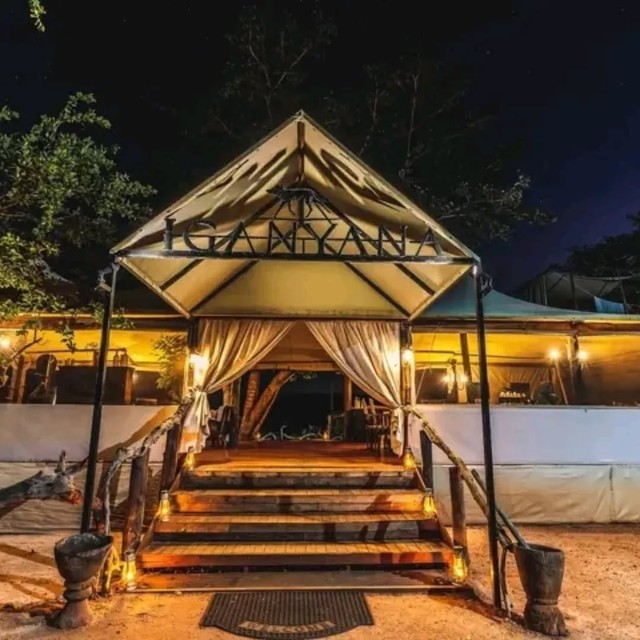 Illuminated entrance to Iganyana Tented Camp at night with warm lantern light and canvas tent, Hwange, Zimbabwe