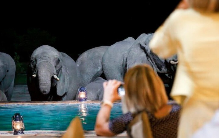 Guests watching a herd of elephants drink from the illuminated pool by lantern light at night at Iganyana Tented Camp, Hwange National Park, Zimbabwe