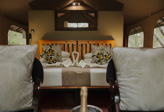 Elegant twin-bed interior with tropical cushions and towel swans at Iganyana Tented Camp, Zimbabwe